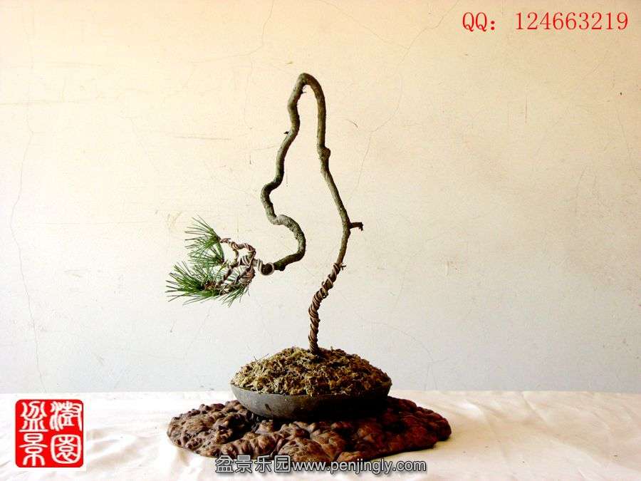 IMG_0632_副本.jpg