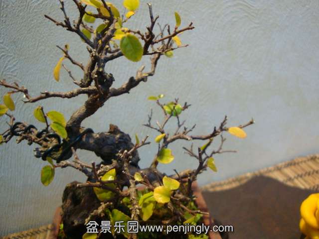 DSC09584.JPG