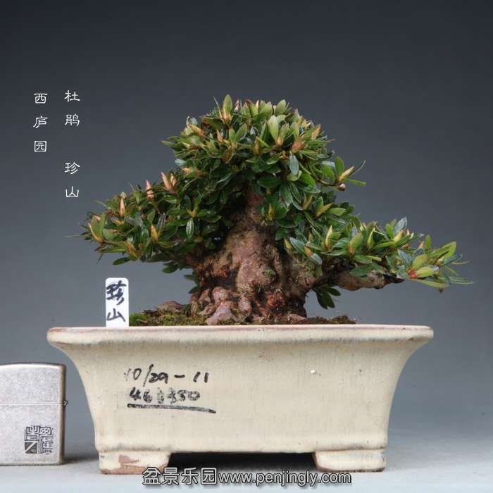 201412071.jpg