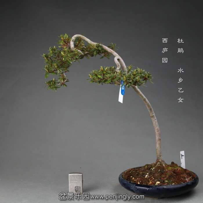 201412075.jpg
