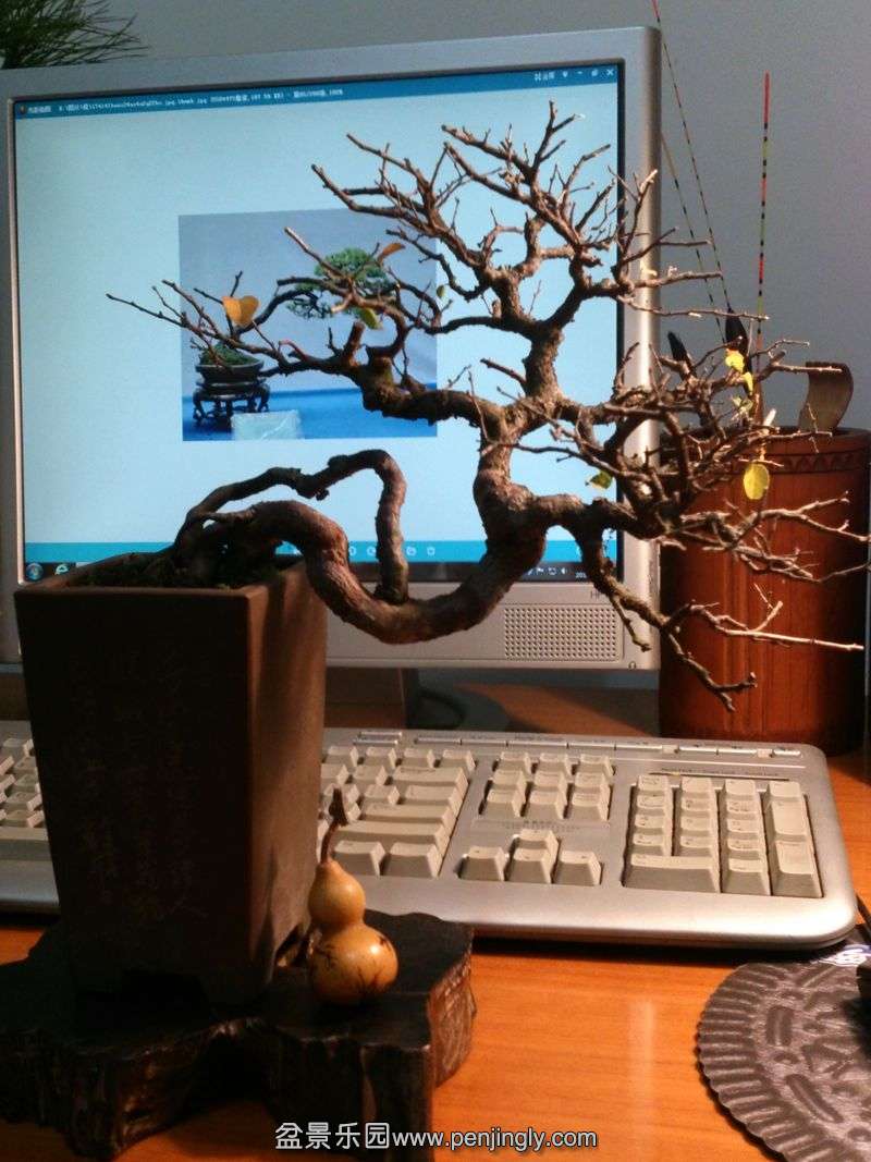 100.jpg