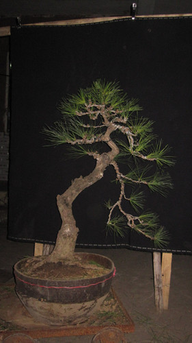 IMG_8167__.jpg