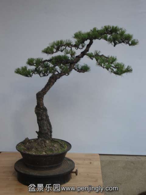 DSC00035.JPG