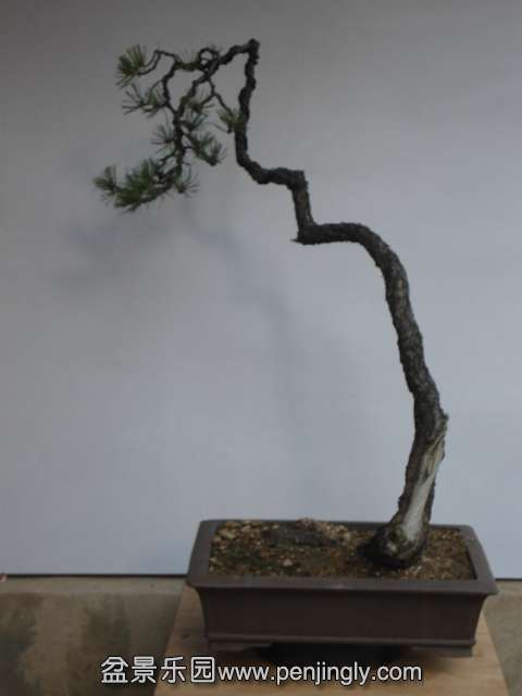 DSC00041.JPG