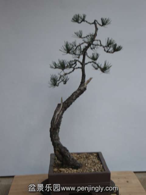 DSC00043.JPG
