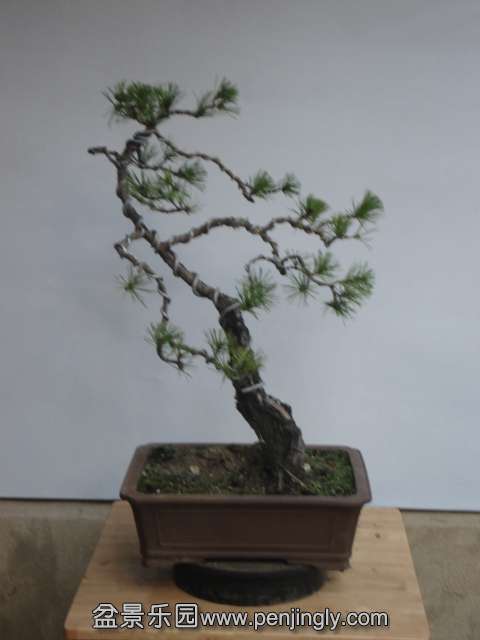 DSC00046.JPG