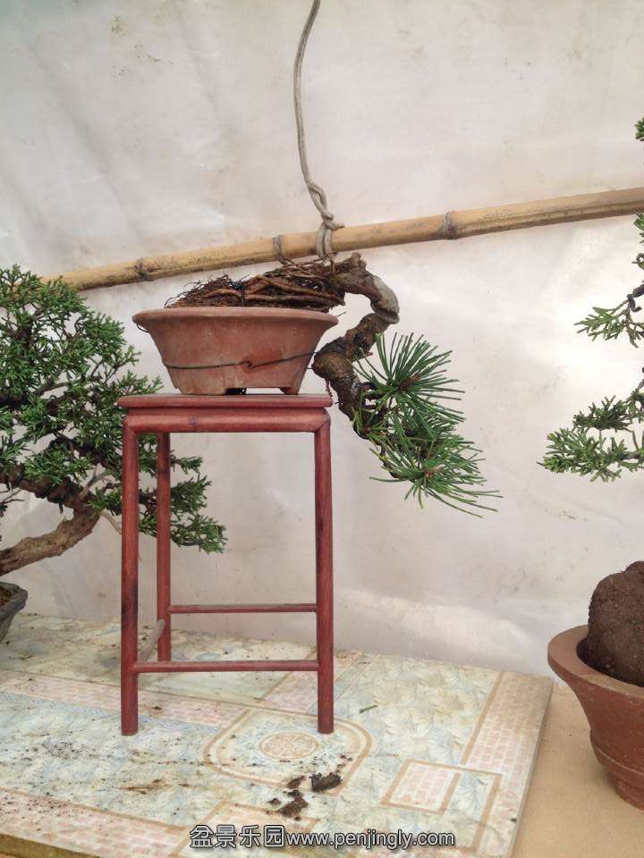 QQͼƬ20141208141251.jpg