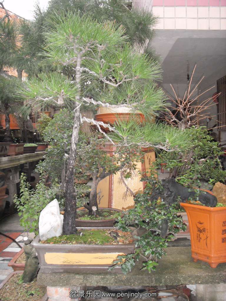 SDC14121.JPG