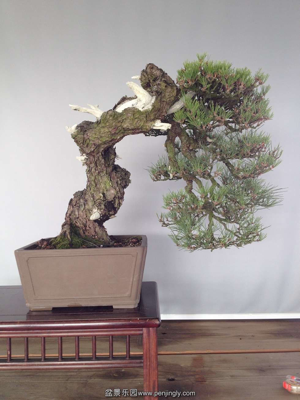 60cm15cm