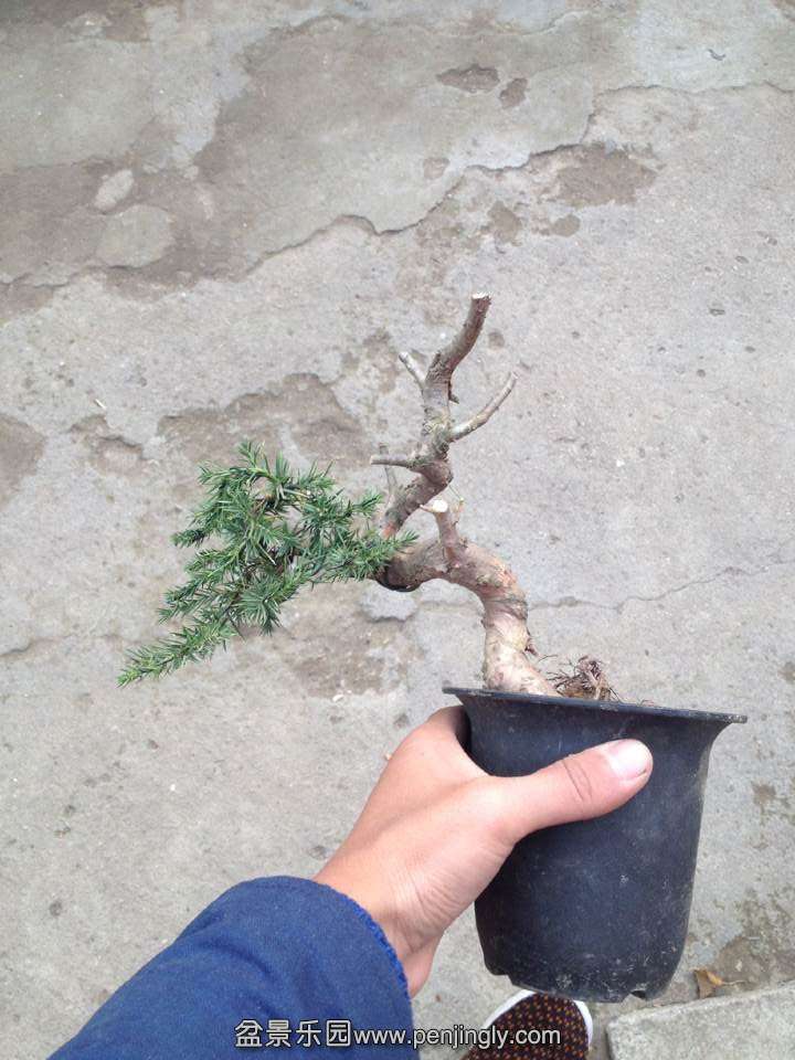QQͼƬ20141209163029.jpg