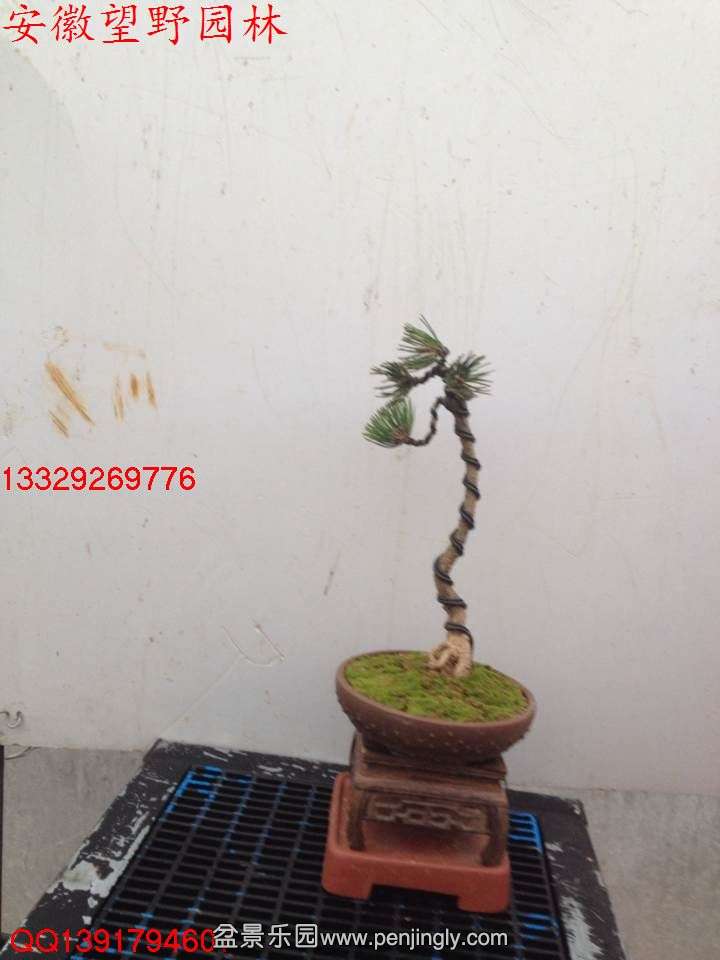 7CA6C112DD09B3E7FD50BFAD5DD34FA6.jpg