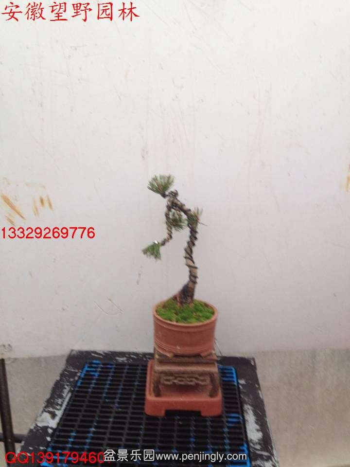 E129E10A3D712AC6C82F7B581785C168.jpg