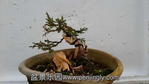 20141210_163413.jpg