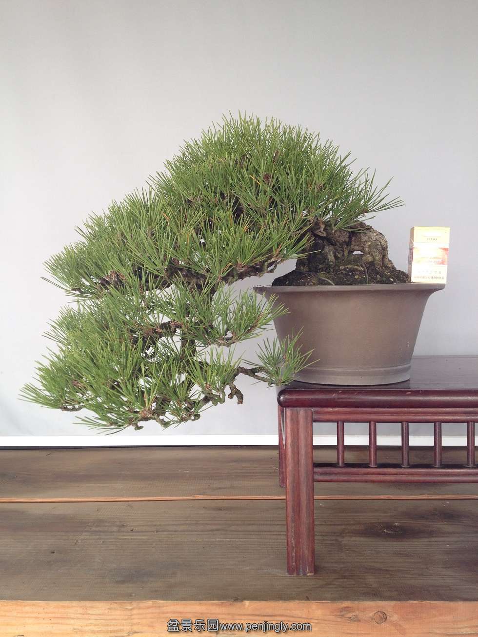 25cm    Ʈ70cm