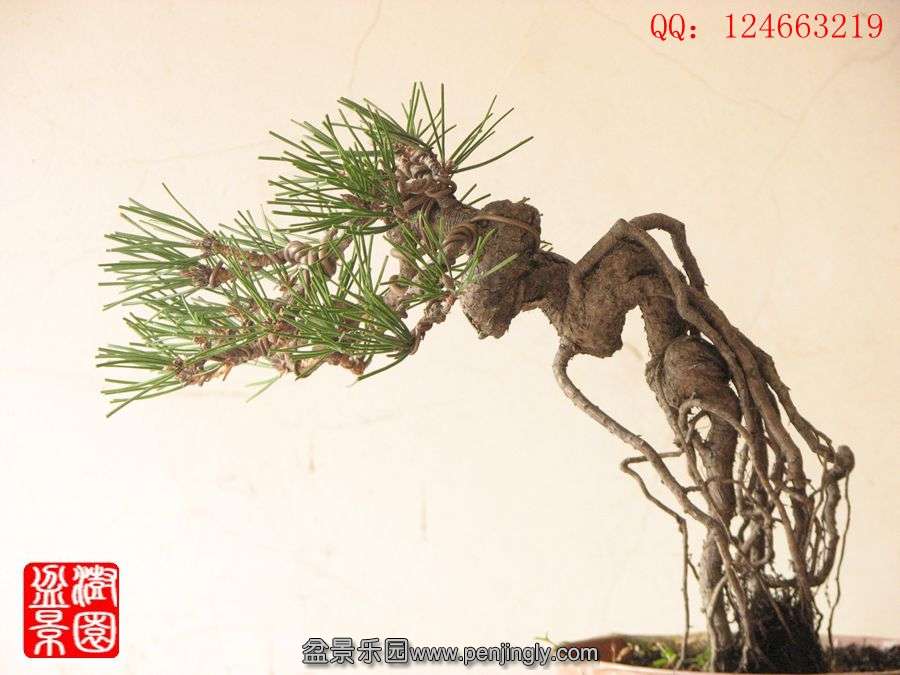 IMG_0734__.jpg