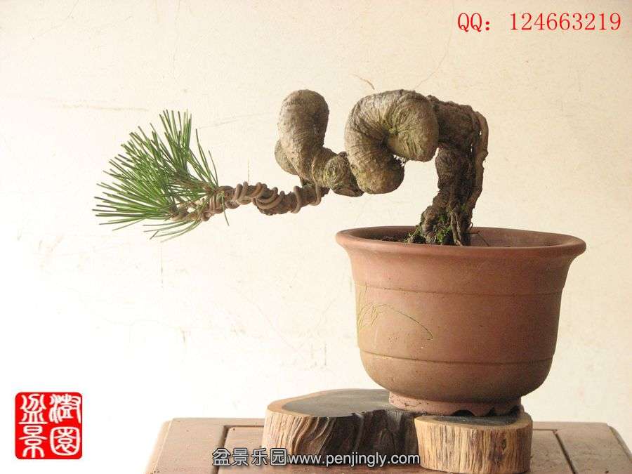 IMG_0737__.jpg
