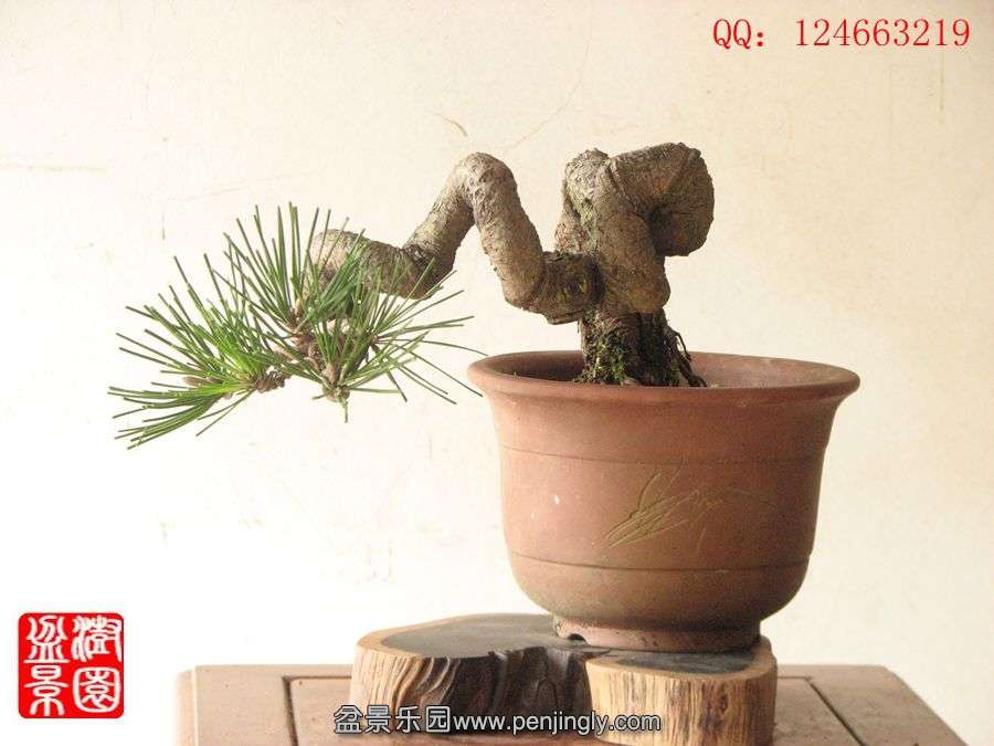 IMG_0739__.jpg