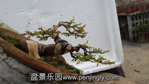 20141211_135045.jpg