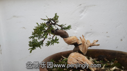 20141211_145027.jpg