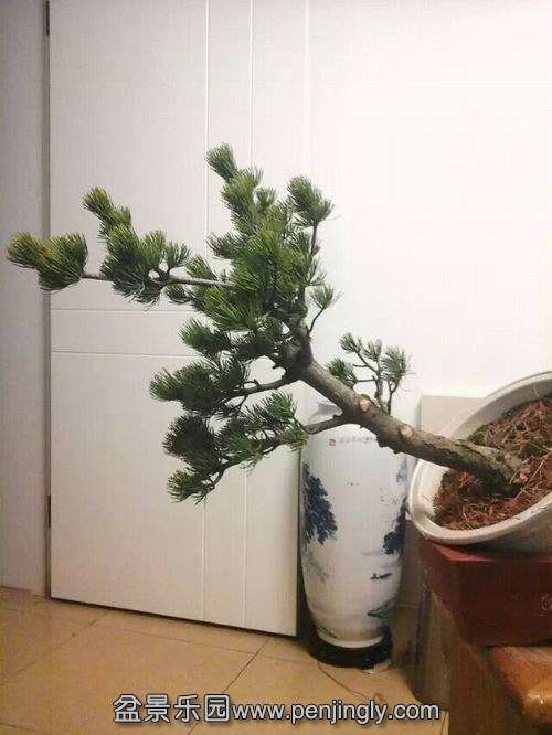 QQͼƬ20141211161747.jpg
