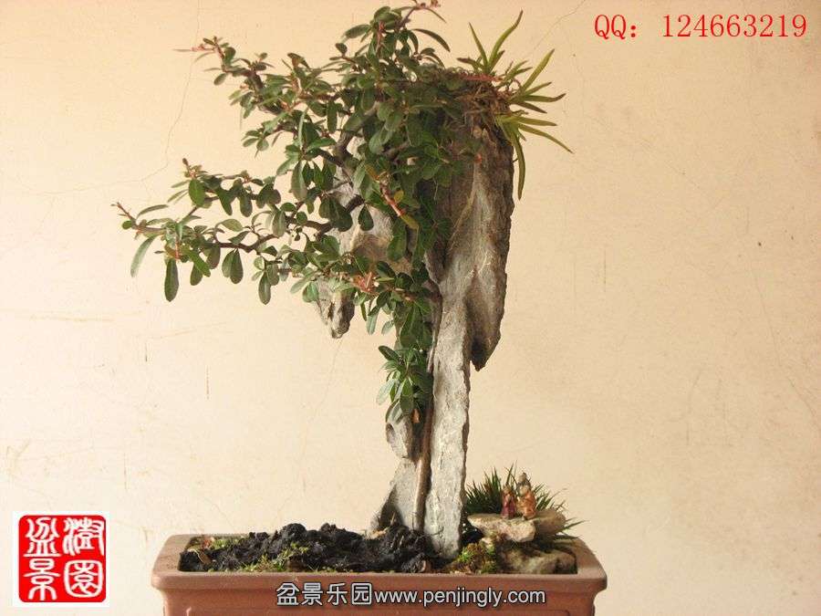 IMG_0765_.jpg