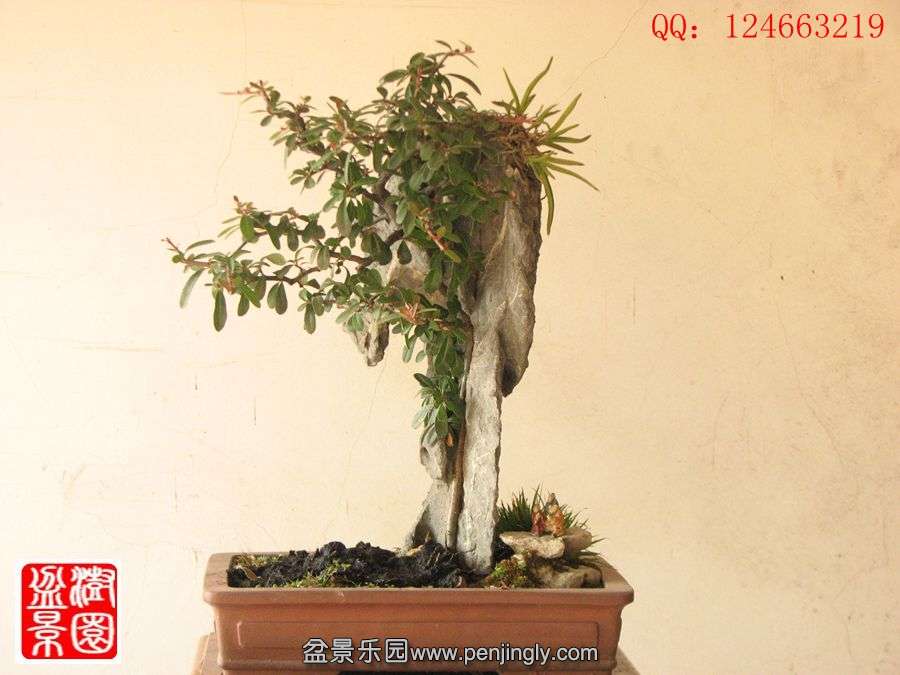 IMG_0769__.jpg