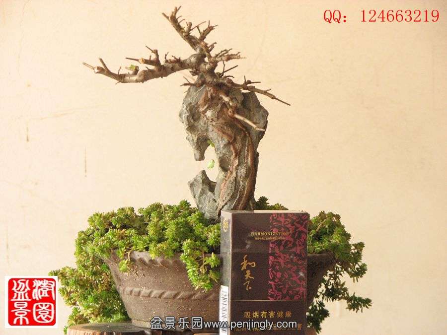 IMG_0789__.jpg