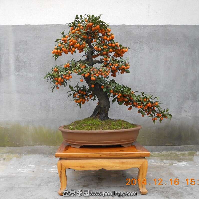 08赯׮1.jpg