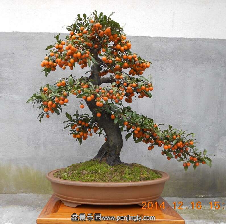 08赯׮2.jpg
