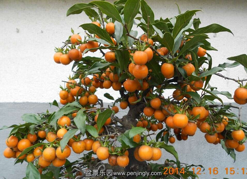 08赯׮5.jpg