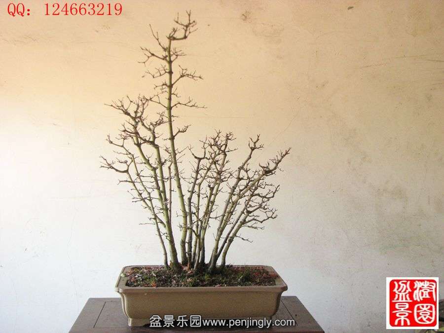 IMG_0859_.jpg