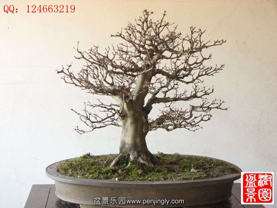 IMG_0854__.jpg