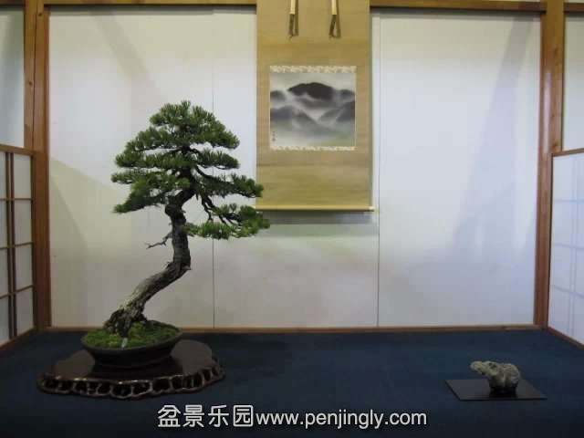 psb (18).jpg