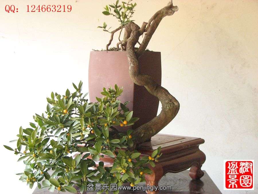IMG_0871_副本.jpg