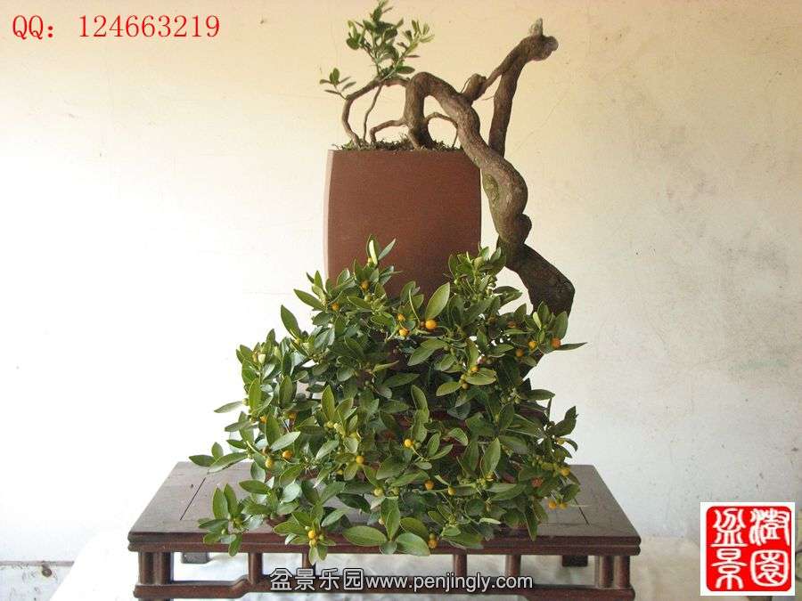 IMG_0872_副本_副本.jpg