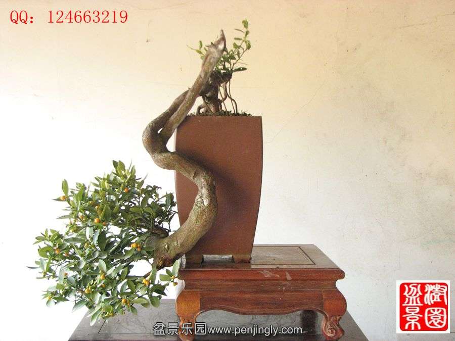 IMG_0873_副本.jpg