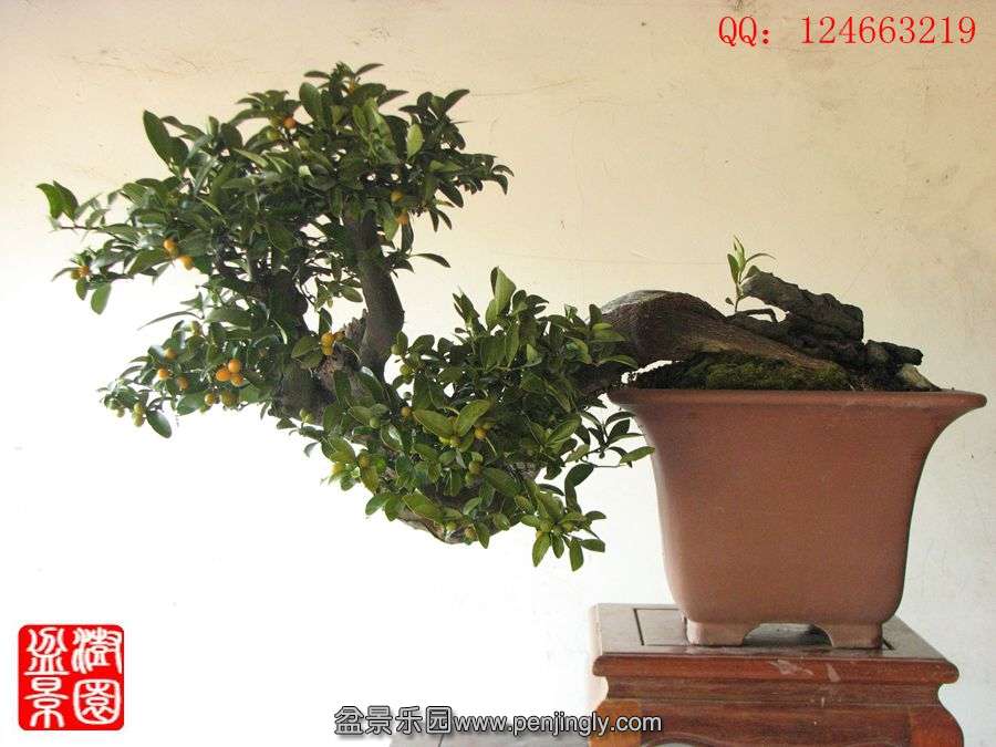 IMG_0876__.jpg