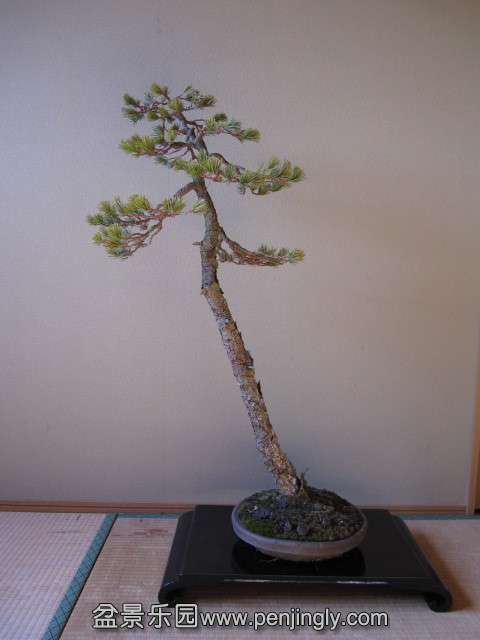 psb (10).jpg