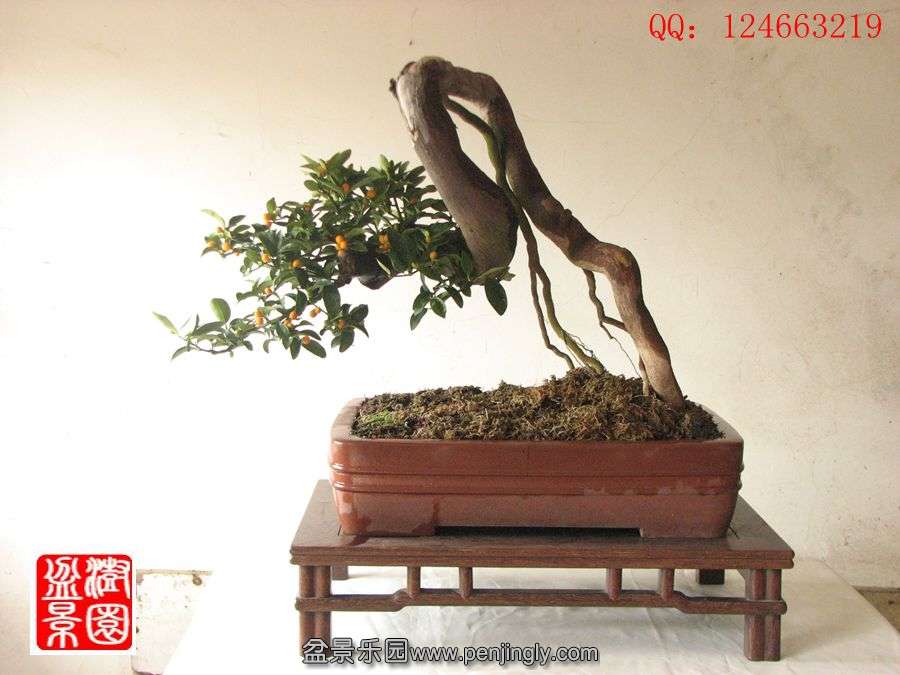 IMG_0881_.jpg