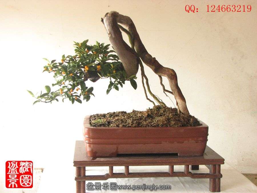 IMG_0886__.jpg