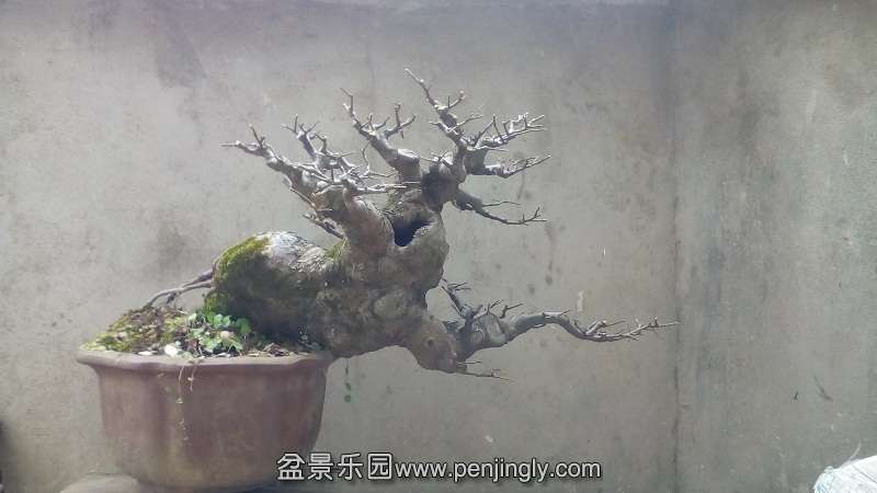 IMG_20141219_114858.jpg