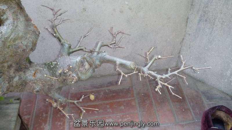 IMG_20141219_114922.jpg