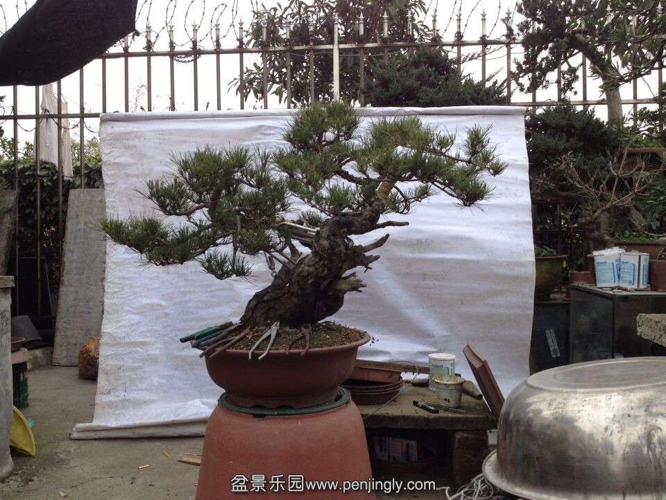 QQͼƬ20141219190413.jpg