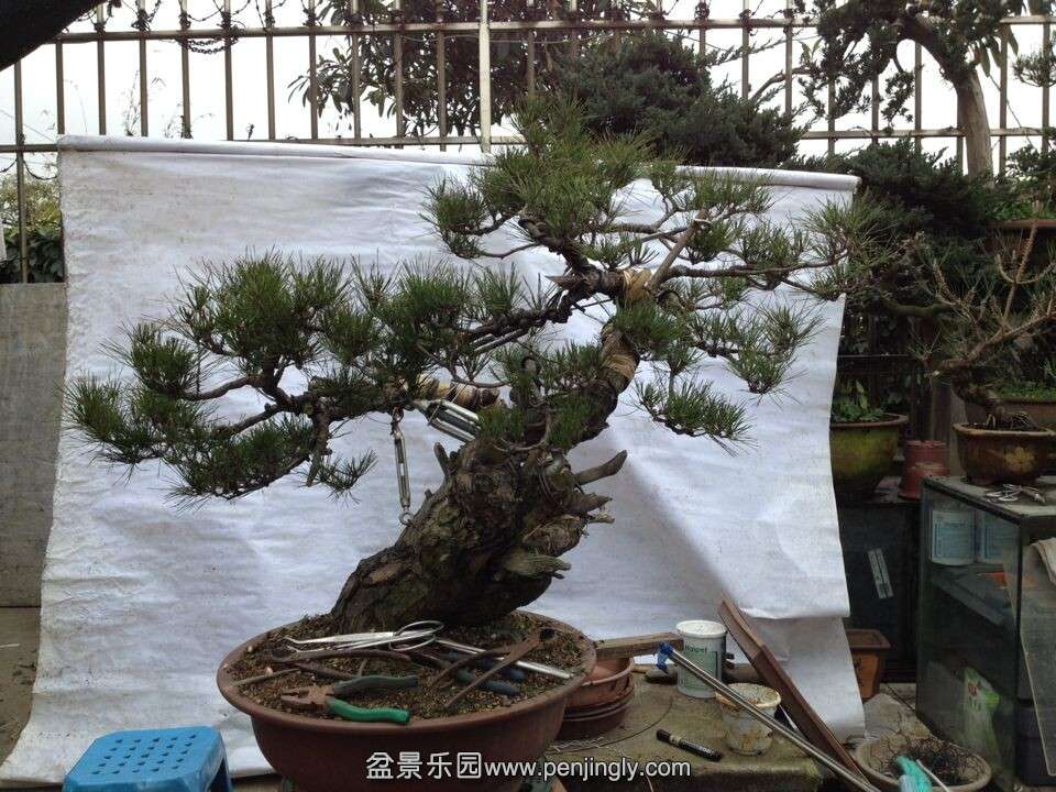 QQͼƬ20141219190444.jpg