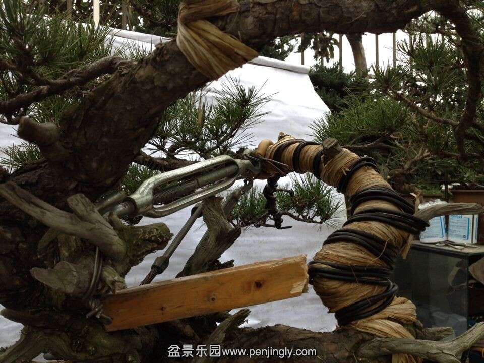 QQͼƬ20141219190454.jpg