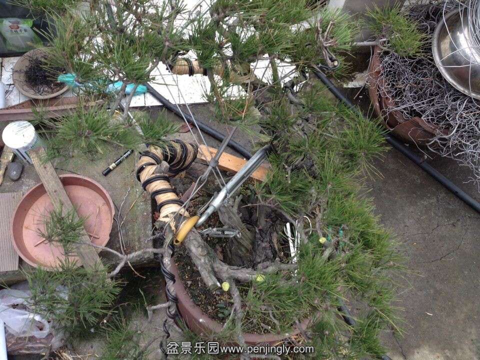QQͼƬ20141219190515.jpg