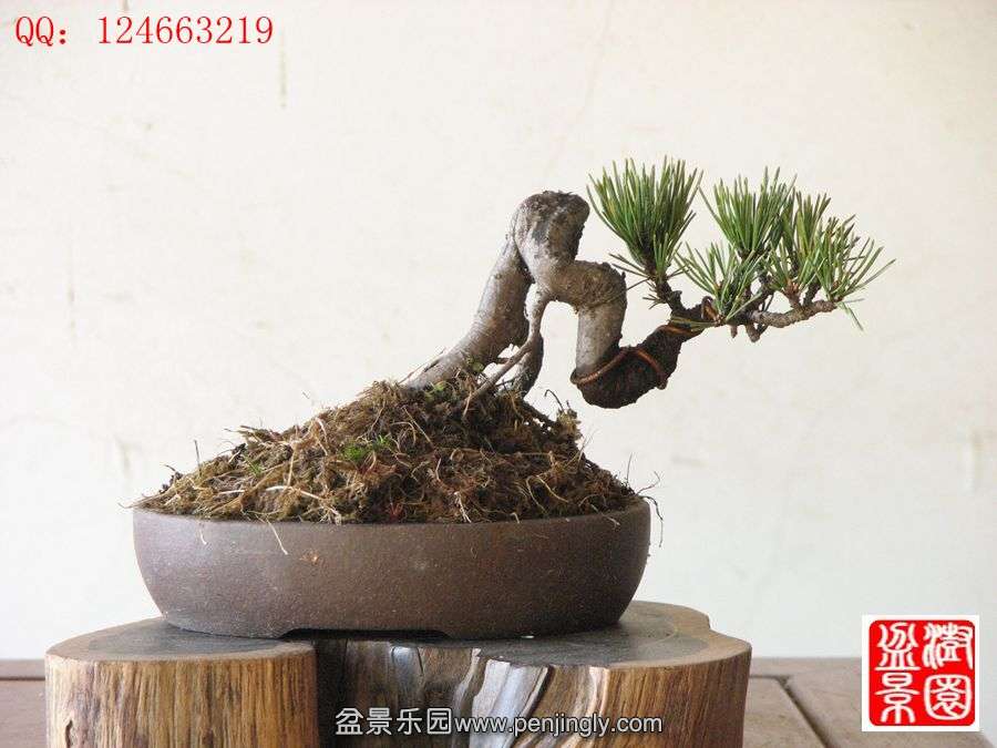 IMG_0904__.jpg