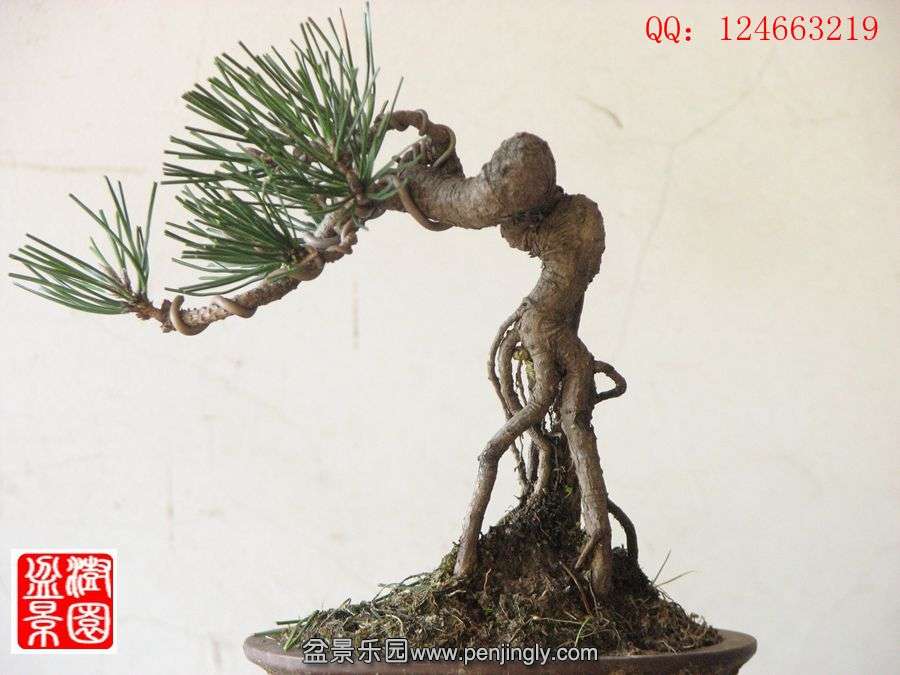 IMG_0912__.jpg