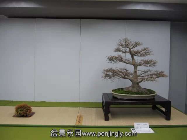 psb (41).jpg