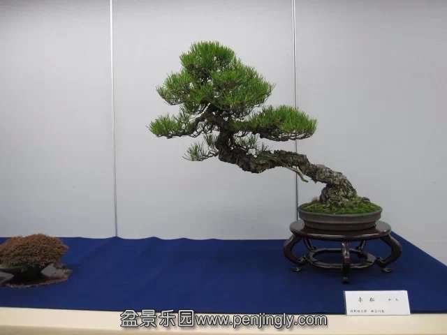 psb (43).jpg